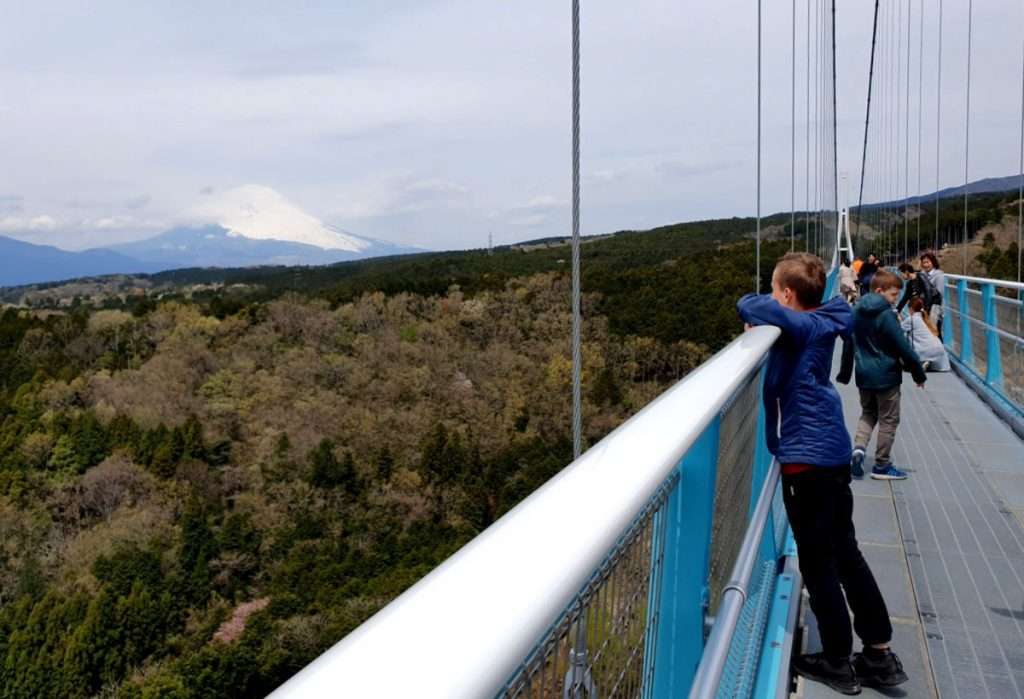 Views from the Mishima Skywalk in Hakone