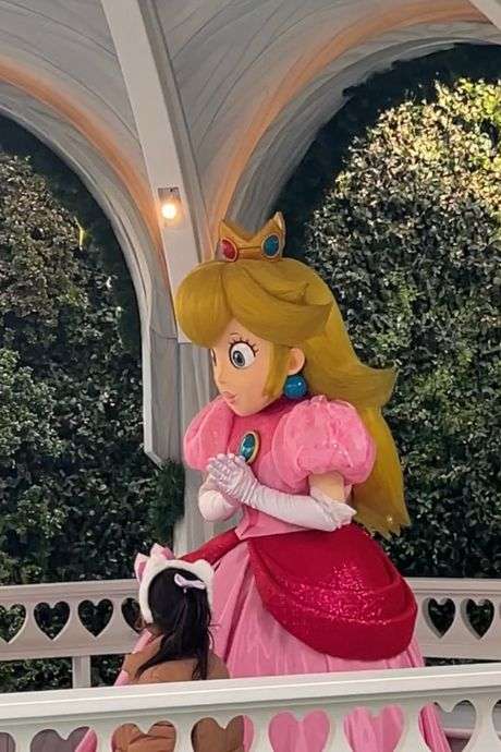 Meeting Princess Peach