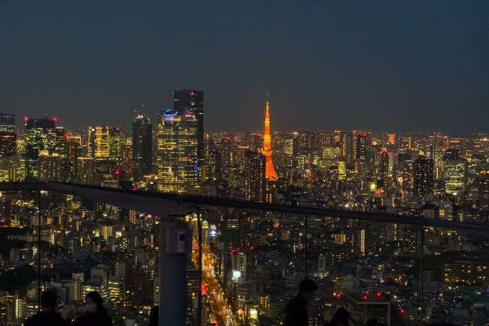 Night View from Shibuya Sky