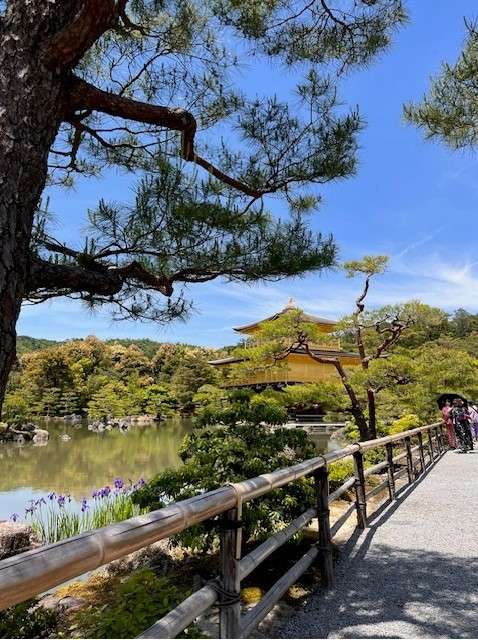 The Mostly Accessible Gravel Path to the Golden Pavilion in Kyoto