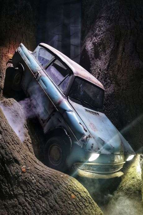 The Weasley Family Car in the Forbidden Forest