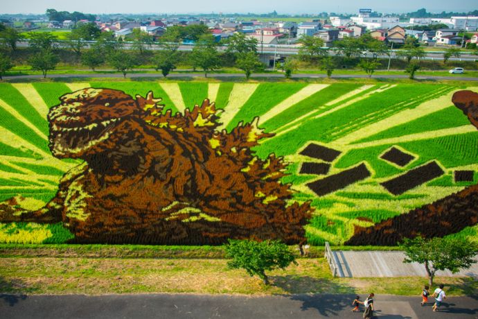 Godzilla (Tambo Art) in Ricefield at Inakadate
