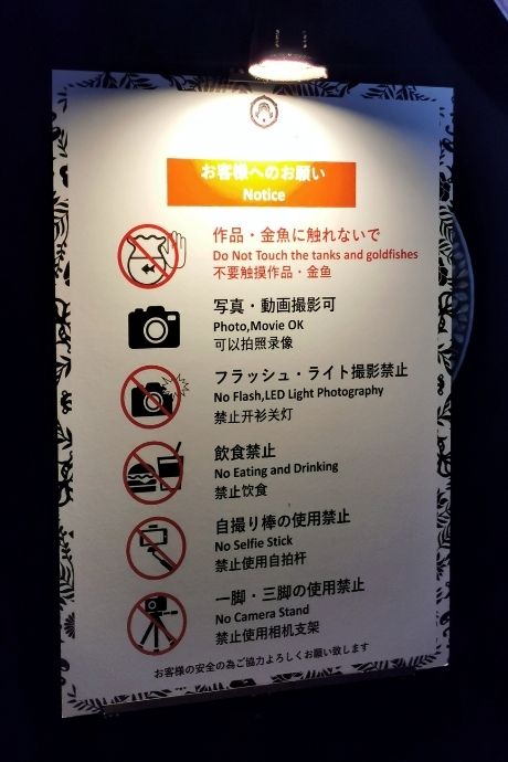 Warnings before you enter the Art Aquarium