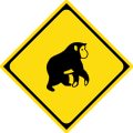 Watch for Animals (Monkey) Sign