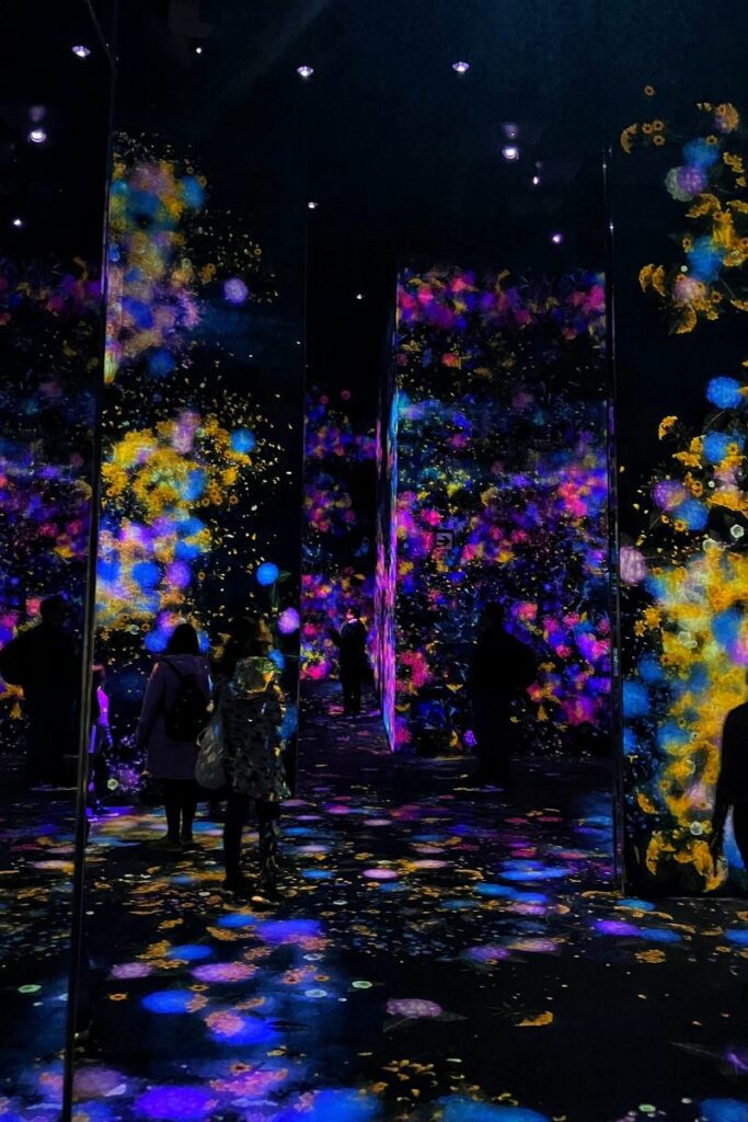 TeamLab vs Borderless Which One Wins and Why? Japan Travel Planning