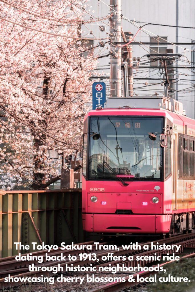 A bright pink Tokyo Sakura Tram passes by blooming cherry blossom trees, with a sign in the background. The caption reads, "The Tokyo Sakura Tram, with a history dating back to 1913, offers a scenic ride through historic neighborhoods, showcasing cherry blossoms & local culture.