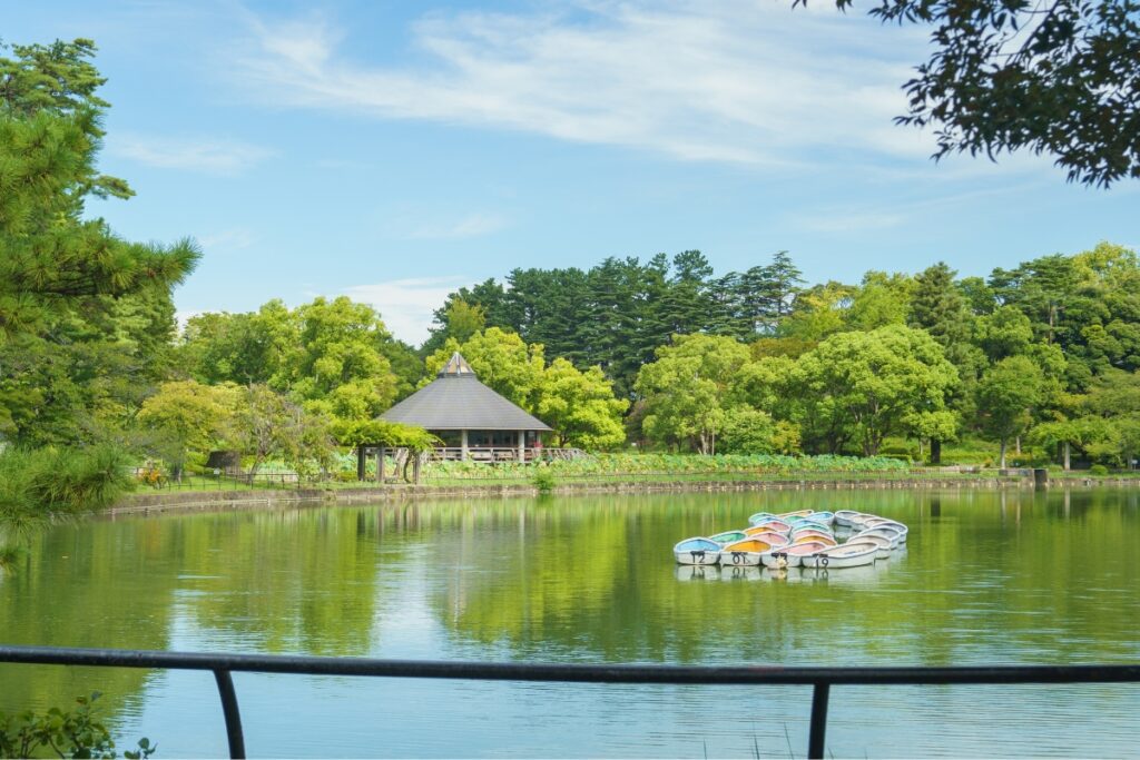 A scenic view of Watauchi Pond in Chiba Park, surrounded by lush greenery. The calm water reflects the vibrant trees and sky, creating a serene atmosphere. A cluster of colorful rowboats with numbers painted on them floats near the shore. In the background, a hexagonal pavilion with a dark roof and wooden structure sits among the trees, blending harmoniously with the natural surroundings. The sky is bright blue with wispy white clouds, and a metal railing is visible in the foreground, framing the tranquil scene.