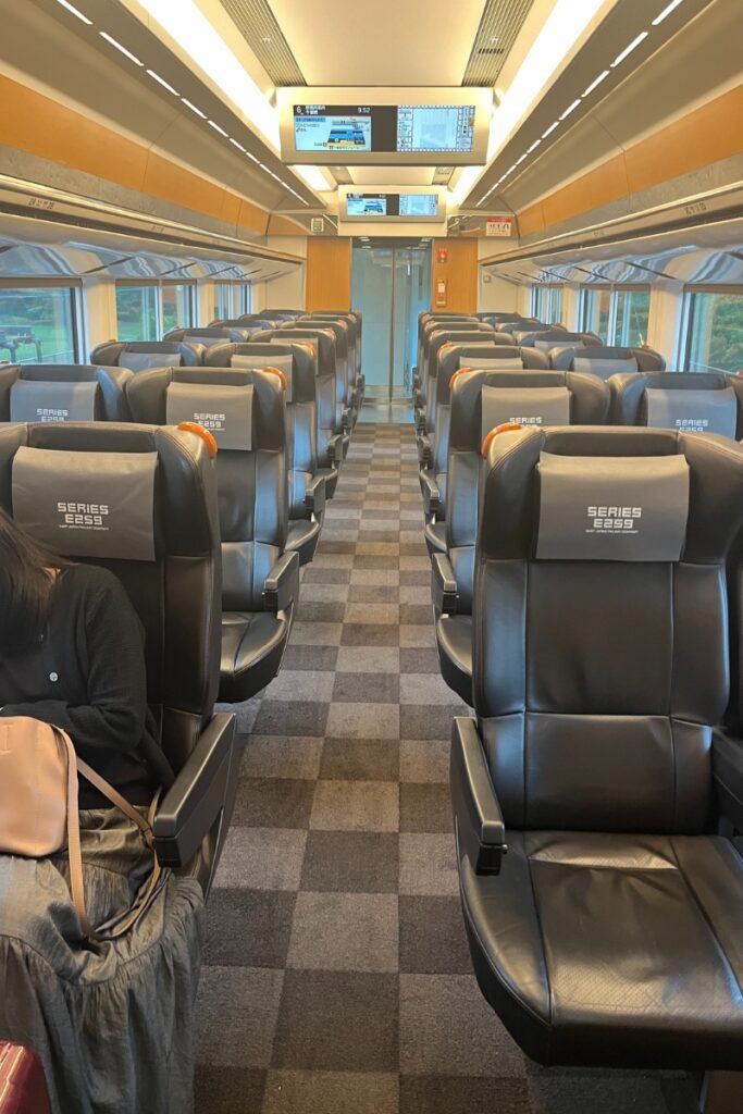 The Narita Express: What First-Time Visitors Need to Know
