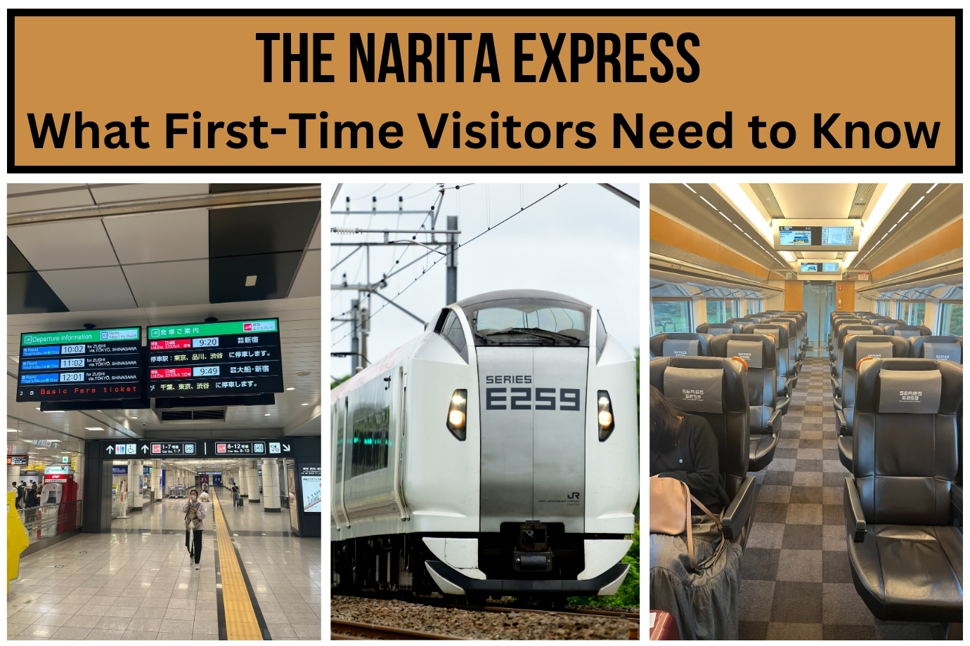 The Narita Express: What First-Time Visitors Need to Know