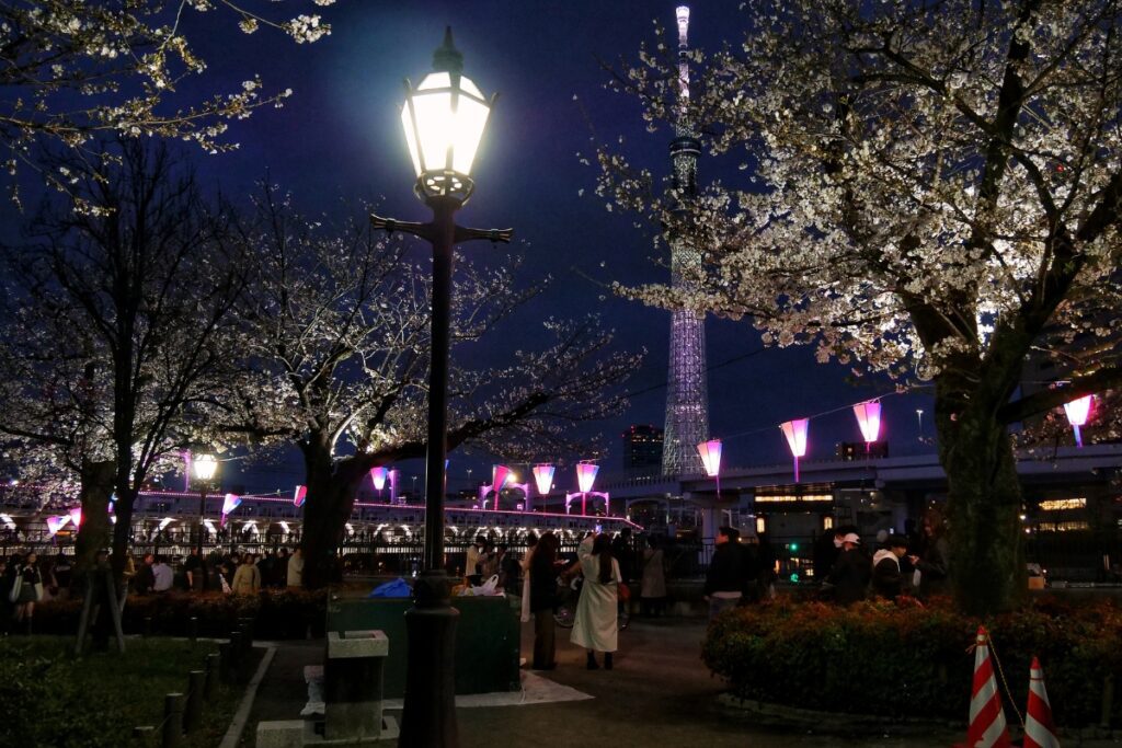 A crowd gathers under blooming cherry blossom trees illuminated by pink lanterns and streetlights at night in Sumida Park, with Tokyo Skytree glowing in the background against the deep blue sky.