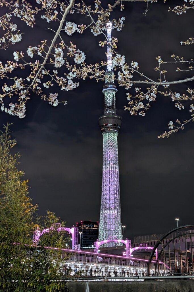 Tokyo Skytree glows with soft purple and white lighting at night, framed by cherry blossom branches in bloom, creating a dramatic contrast against the dark sky.