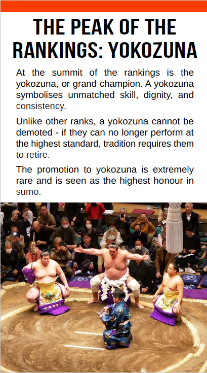 Sumo Tournament Guide Sample Page 2