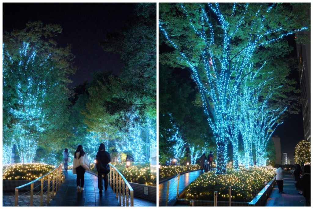 Shinjuku winter illumination with blue lights wrapped around tall trees and warm gold lights carpeting the ground.