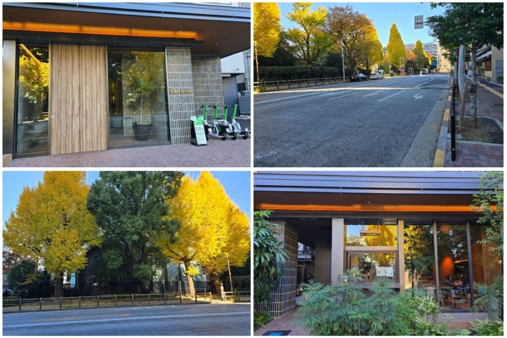 &Here Ueno hotel entrance on Shinobazu Dori with e-scooters parked outside, autumn ginkgo trees lining the wide road opposite Ueno Park, and the Here Cafe visible through glass frontage.