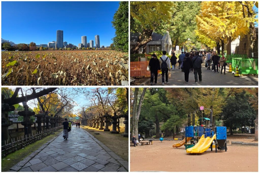 Ueno Park in autumn showing the dormant lotus field at Shinobazu Pond with city skyline, ginkgo-lined path with visitors, stone lantern walkway to a shrine, and a children's playground among the trees.