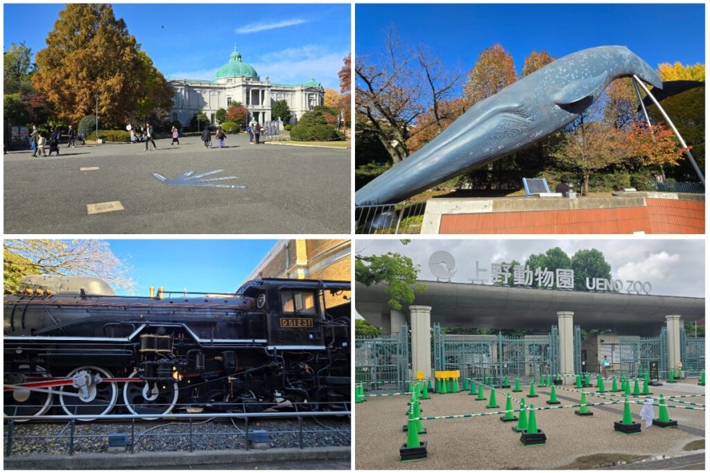 Ueno Park collage showing the Tokyo National Museum with green dome, blue whale sculpture outside the National Museum of Nature and Science, D51231 steam locomotive display, and Ueno Zoo entrance gate.